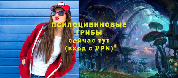 прущий лед Алексеевка